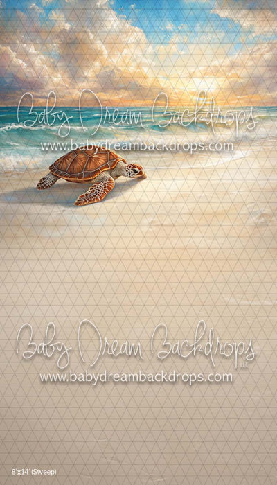 Sweep Summer Shores (CM)