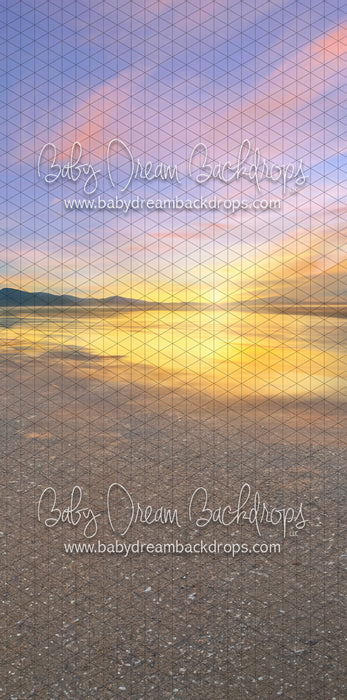 Sweep Sunset Cove (BD)