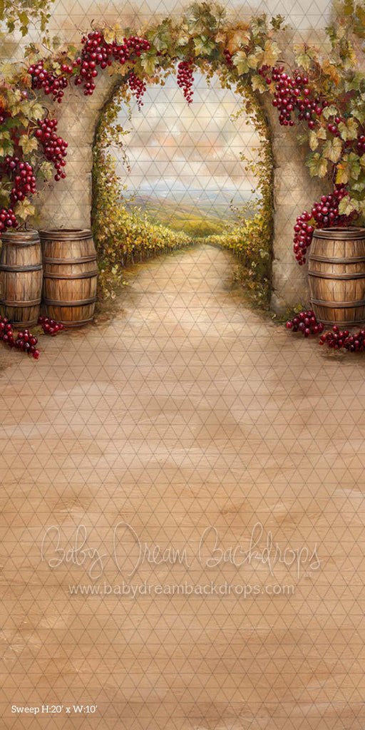 Sweep Tuscan Vinyard (CM)