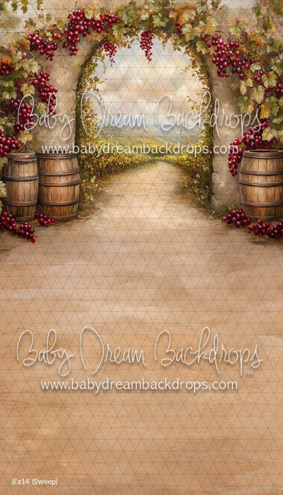 Sweep Tuscan Vinyard (CM)