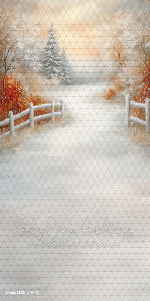 Sweep Warm Winter Path (CM)