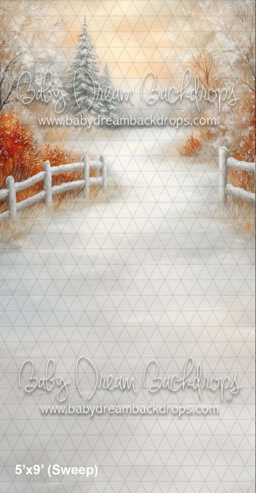 Sweep Warm Winter Path (CM)