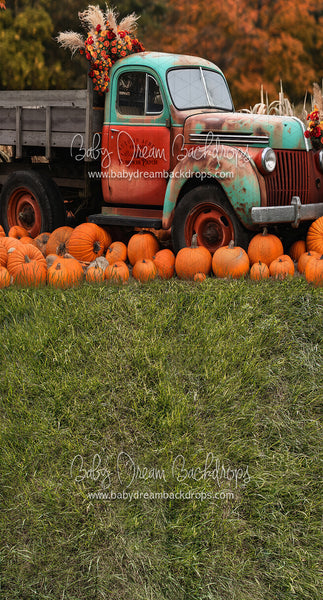 Sweeps Autumn Acres Pumpkin Patch (JA)