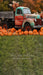 Sweeps Autumn Acres Pumpkin Patch (JA)
