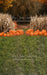 Sweeps Autumn Acres Pumpkin Path (JA)