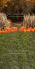 Sweeps Autumn Acres Pumpkin Path (JA)