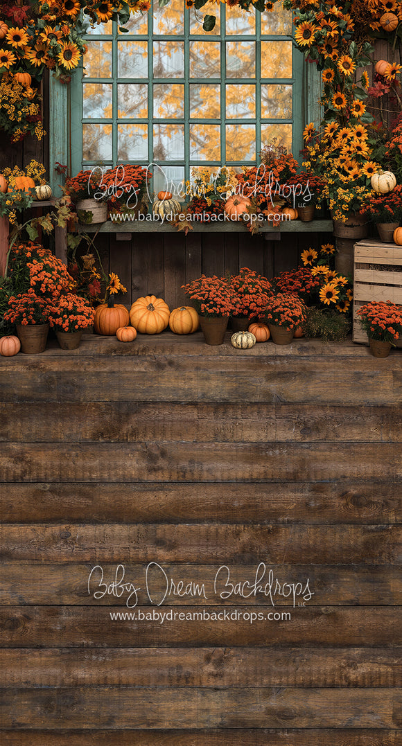 Sweeps Autumn Greenhouse Window (JA)