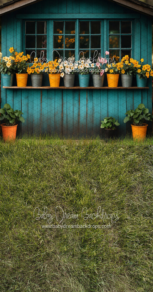 Sweeps Azure Greenhouse (JA)