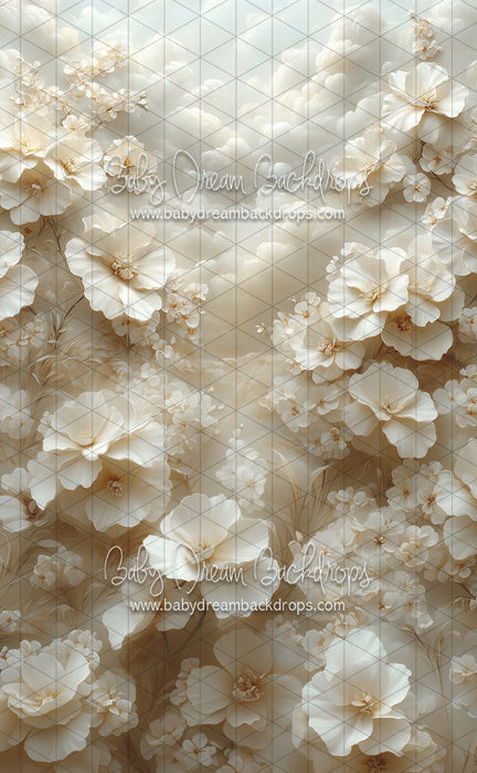 Sweeps Cloudy Blooms (CC)