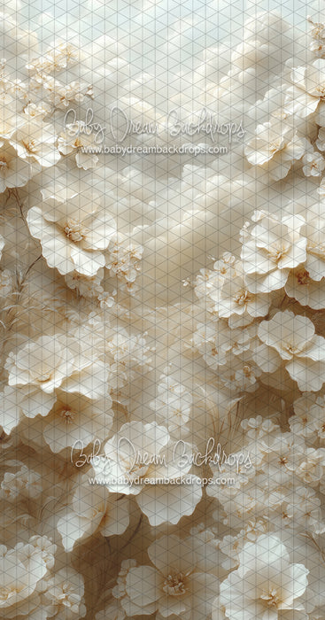 Sweeps Cloudy Blooms (CC)