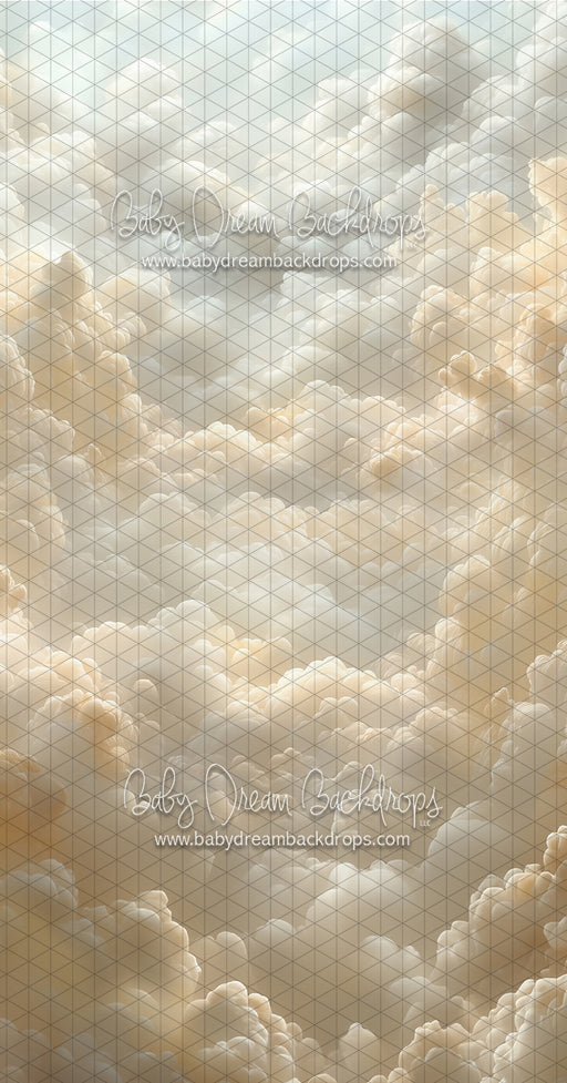 Sweeps Cloudy Heirloom (CC)