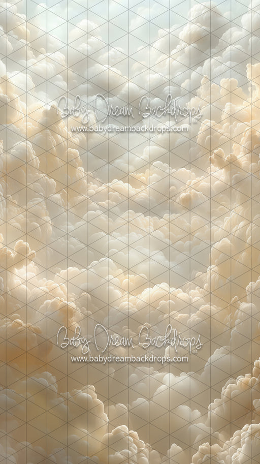 Sweeps Cloudy Heirloom (CC)