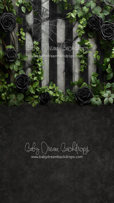 Sweeps Creeping Beauty (JA)