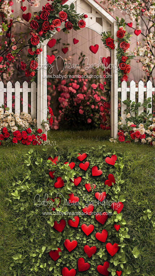 Sweeps Cupid's Garden (JA)