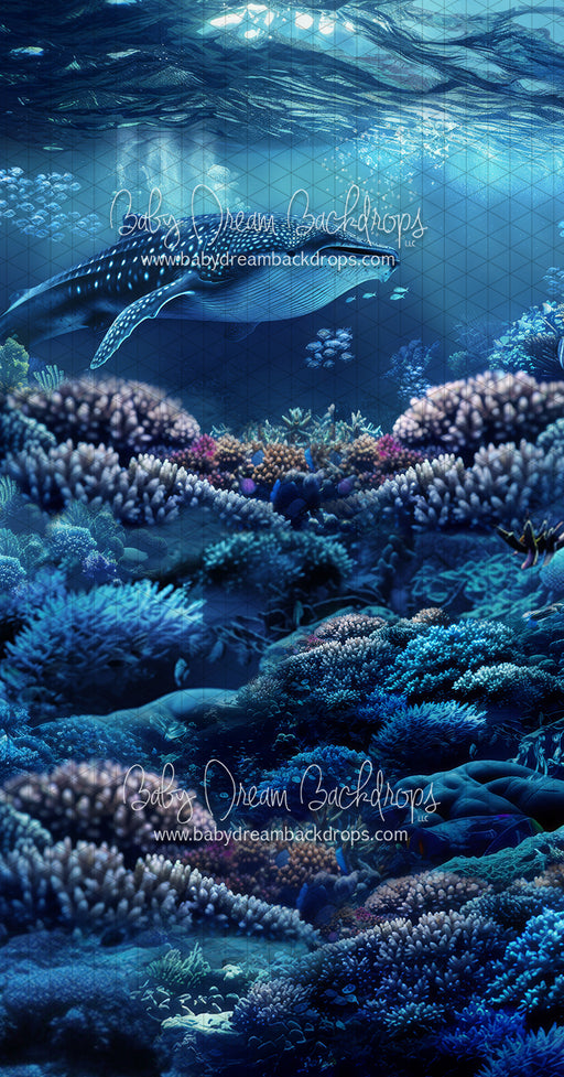 Sweeps Deep Sea Whispers (JA)