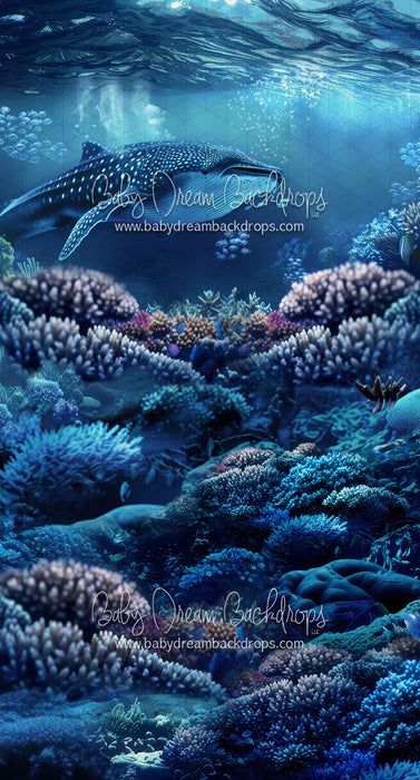 Sweeps Deep Sea Whispers (JA)