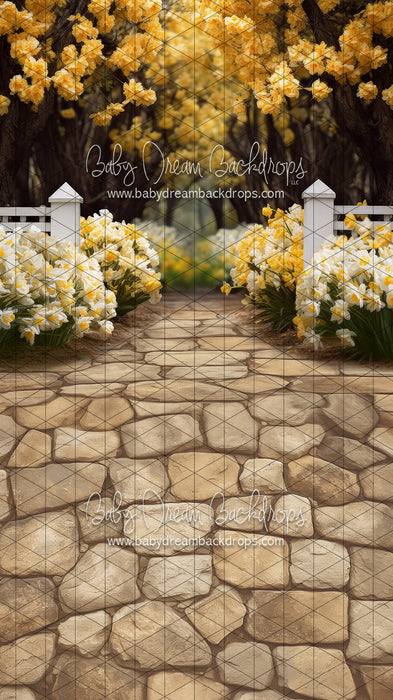 Sweeps Dreamy Daffodil Stroll (JA)