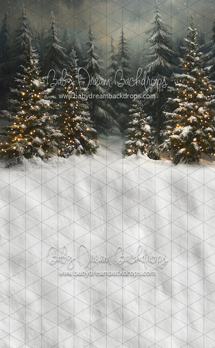 Sweeps Evening Winter Pines (JA)