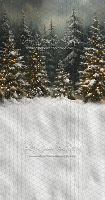 Sweeps Evening Winter Pines (JA)