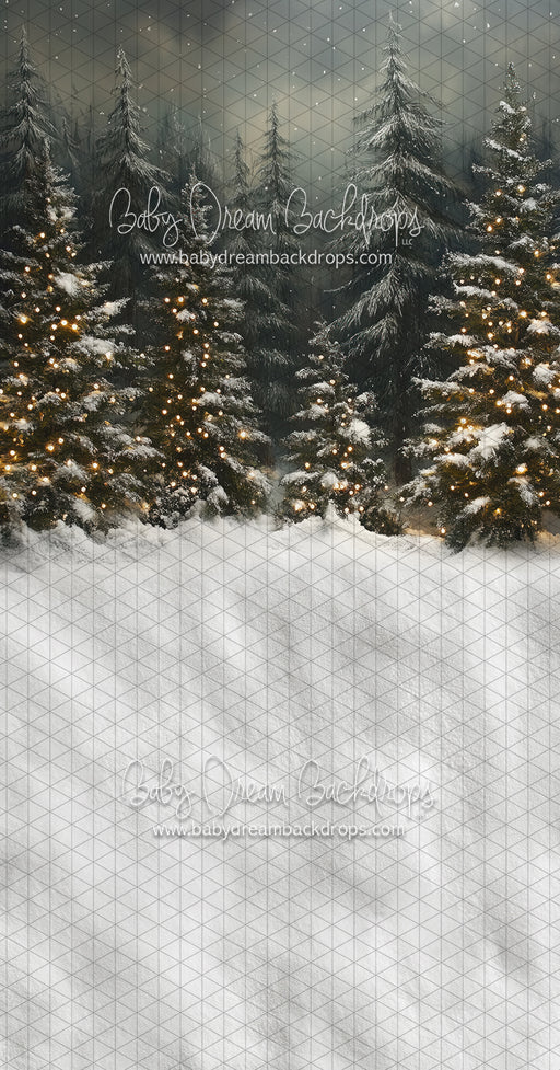 Sweeps Evening Winter Pines (JA)