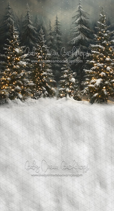 Sweeps Evening Winter Pines (JA)