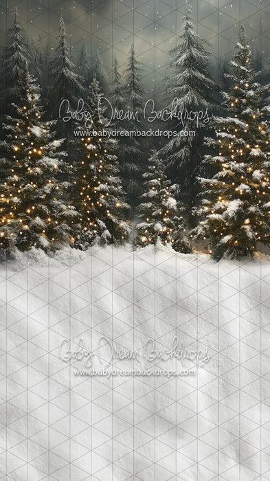 Sweeps Evening Winter Pines (JA)