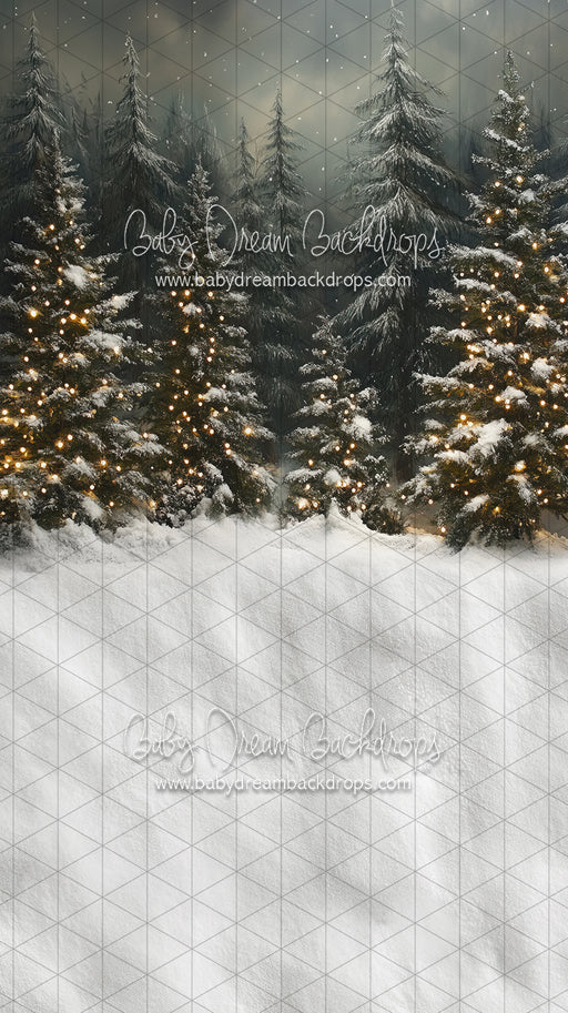 Sweeps Evening Winter Pines (JA)