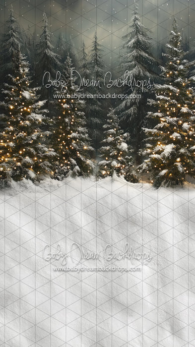 Sweeps Evening Winter Pines (JA)