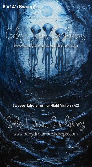 Sweeps Extraterrestrial Night Visitors (AZ)