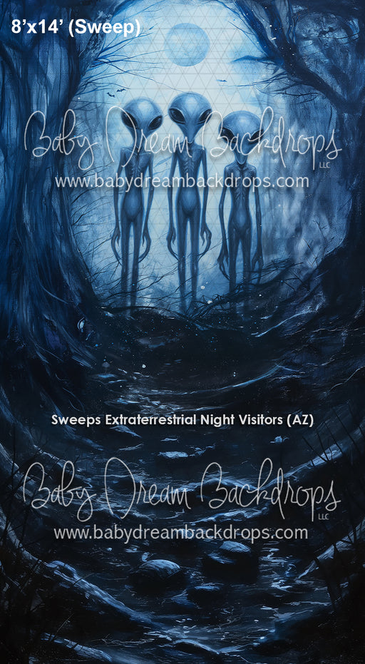 Sweeps Extraterrestrial Night Visitors (AZ)