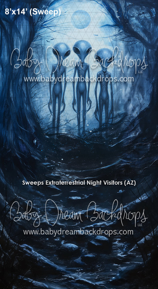 Sweeps Extraterrestrial Night Visitors (AZ)