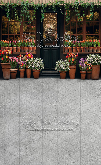 Sweeps Fresh Bloom Studio (JA)