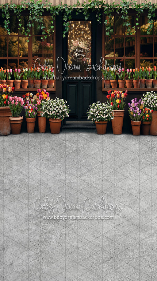 Sweeps Fresh Bloom Studio (JA)