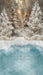 Sweeps Frosted Fantasy Forest Pond (CC)