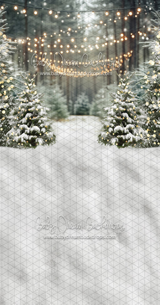 Sweeps Frosty Forest (JA)