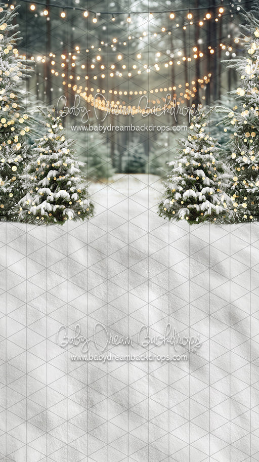 Sweeps Frosty Forest (JA)