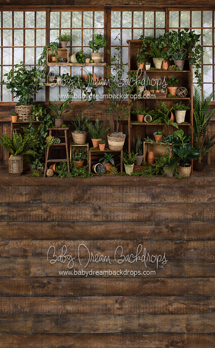 Sweeps Gorgeous Green House (JA)