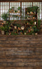 Sweeps Gorgeous Green House (JA)