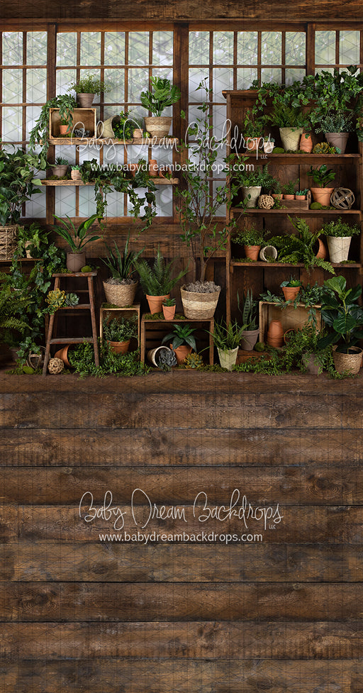 Sweeps Gorgeous Green House (JA)