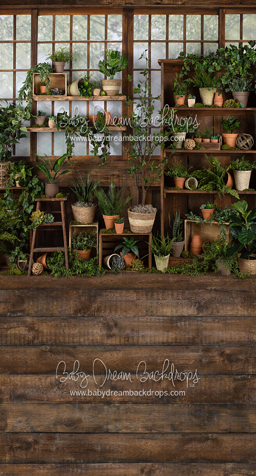 Sweeps Gorgeous Green House (JA)