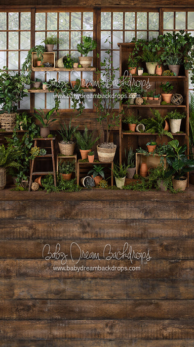 Sweeps Gorgeous Green House (JA)