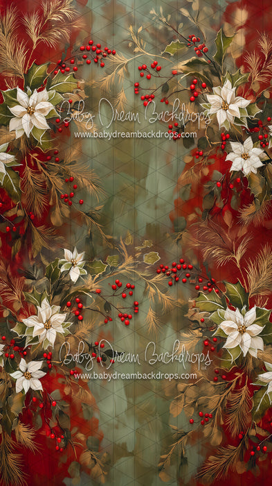 Sweeps Holly Royale (LL)