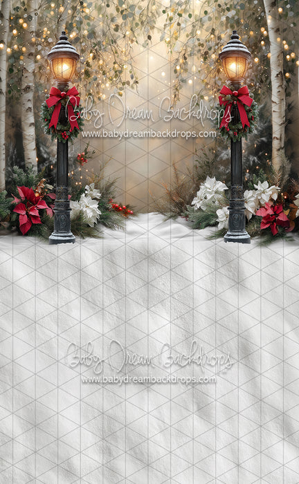 Sweeps Light the Way to Winter (JA)