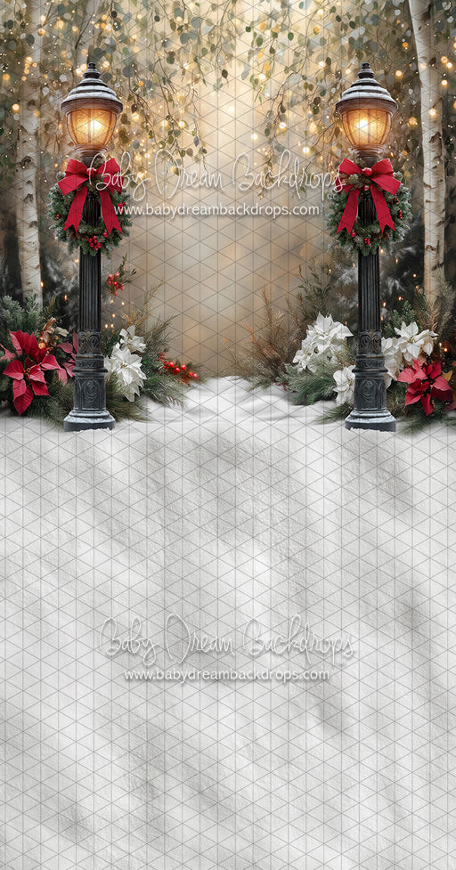 Sweeps Light the Way to Winter (JA)