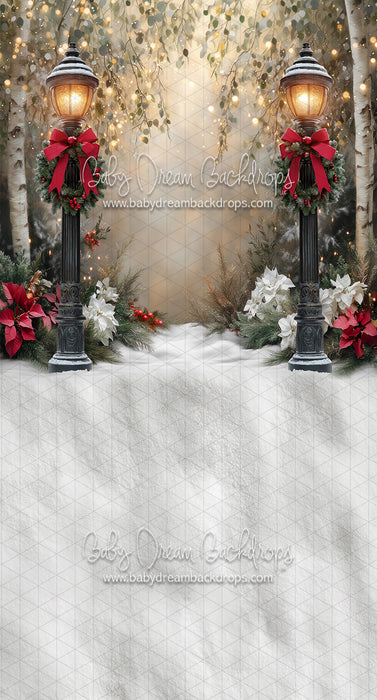 Sweeps Light the Way to Winter (JA)