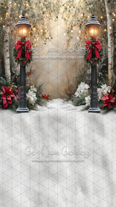 Sweeps Light the Way to Winter (JA)