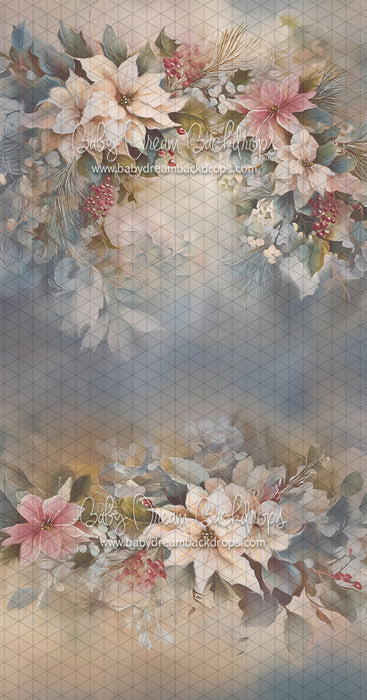 Sweeps Love and Poinsettia (LL)