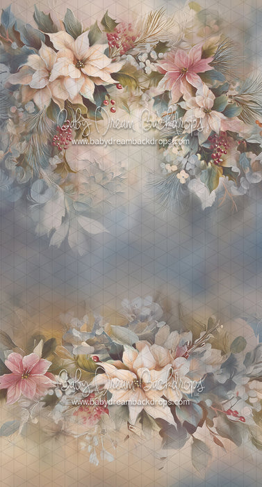 Sweeps Love and Poinsettia (LL)