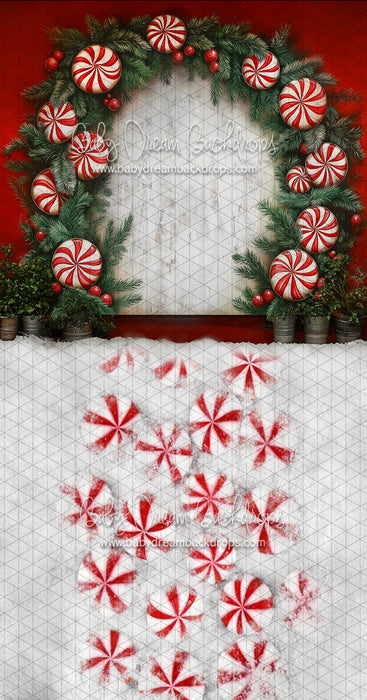 Sweeps Nova Peppermint Twist (JA)