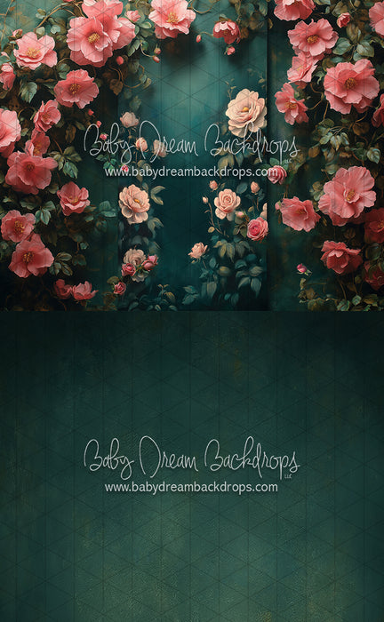 Sweeps Nova Rich Spring (CC)